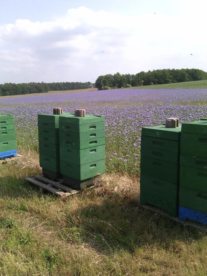 Kalmar 6 Villa Kagsdorf ภายนอก รูปภาพ